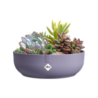 jazz bowl 28cm lavande lilas